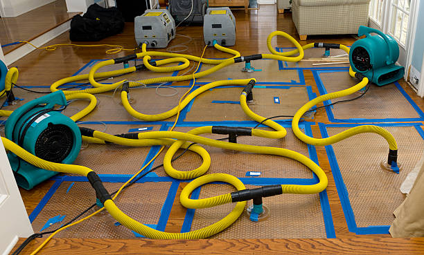 Professional Basement Flood Cleanup technician working in Pleasant Hill, IA